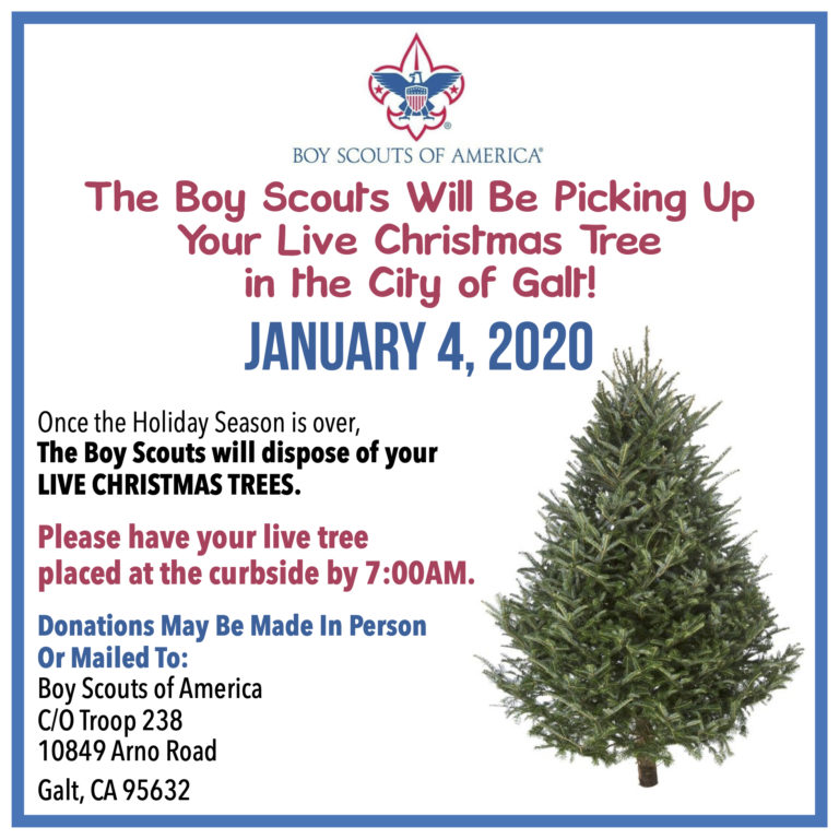 CW Boy Scouts Live Christmas Tree - Cal-Waste Recovery Systems